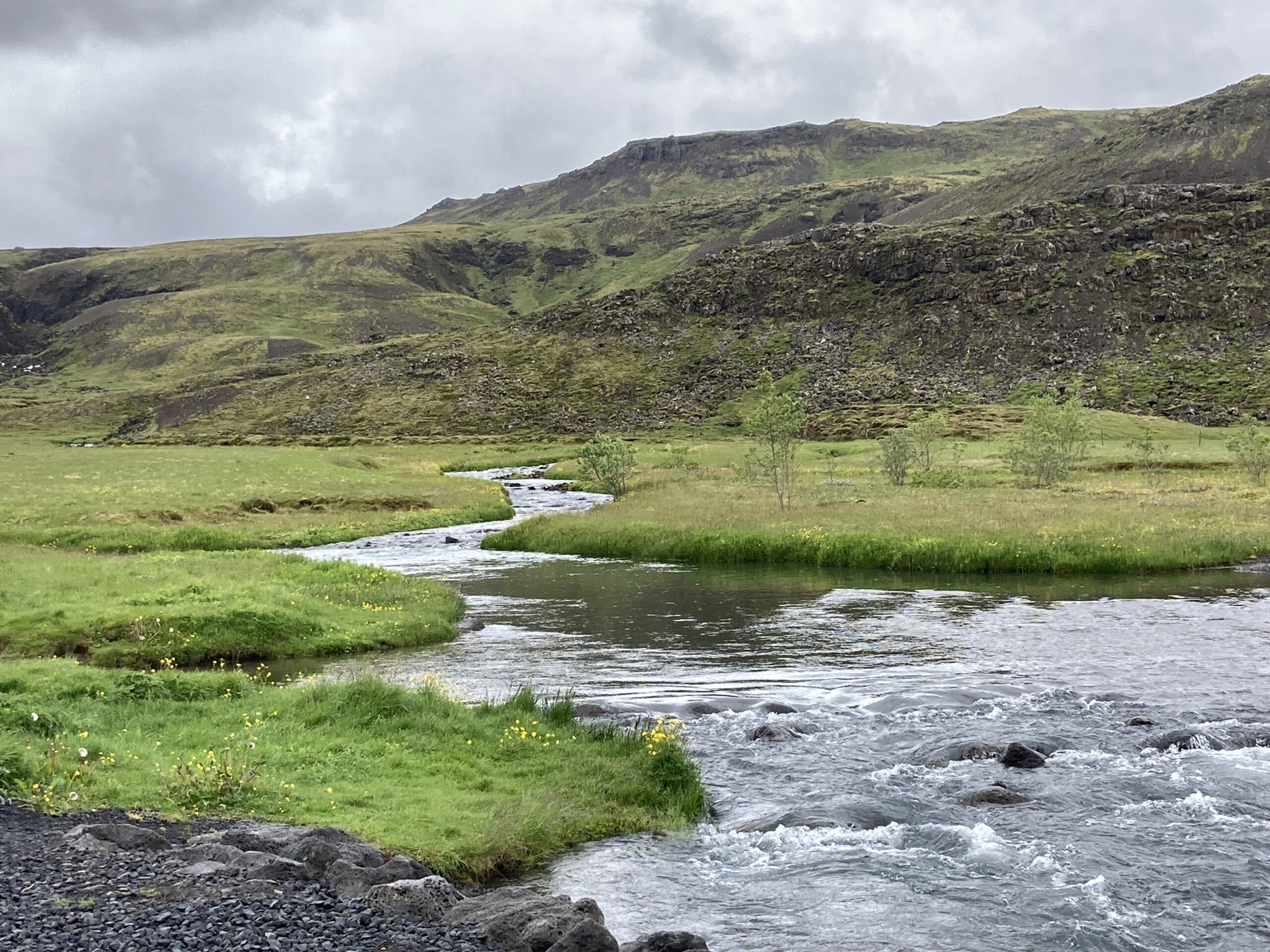 A serene landscape featuring a winding river flowing through lush green meadows, set against a backdrop of gently rolling hills under a cloudy sky. The scene captures the tranquility of nature, with patches of wildflowers dotting the grassy areas. Reykjadalur-Nesjavellir mountain bike trail.
