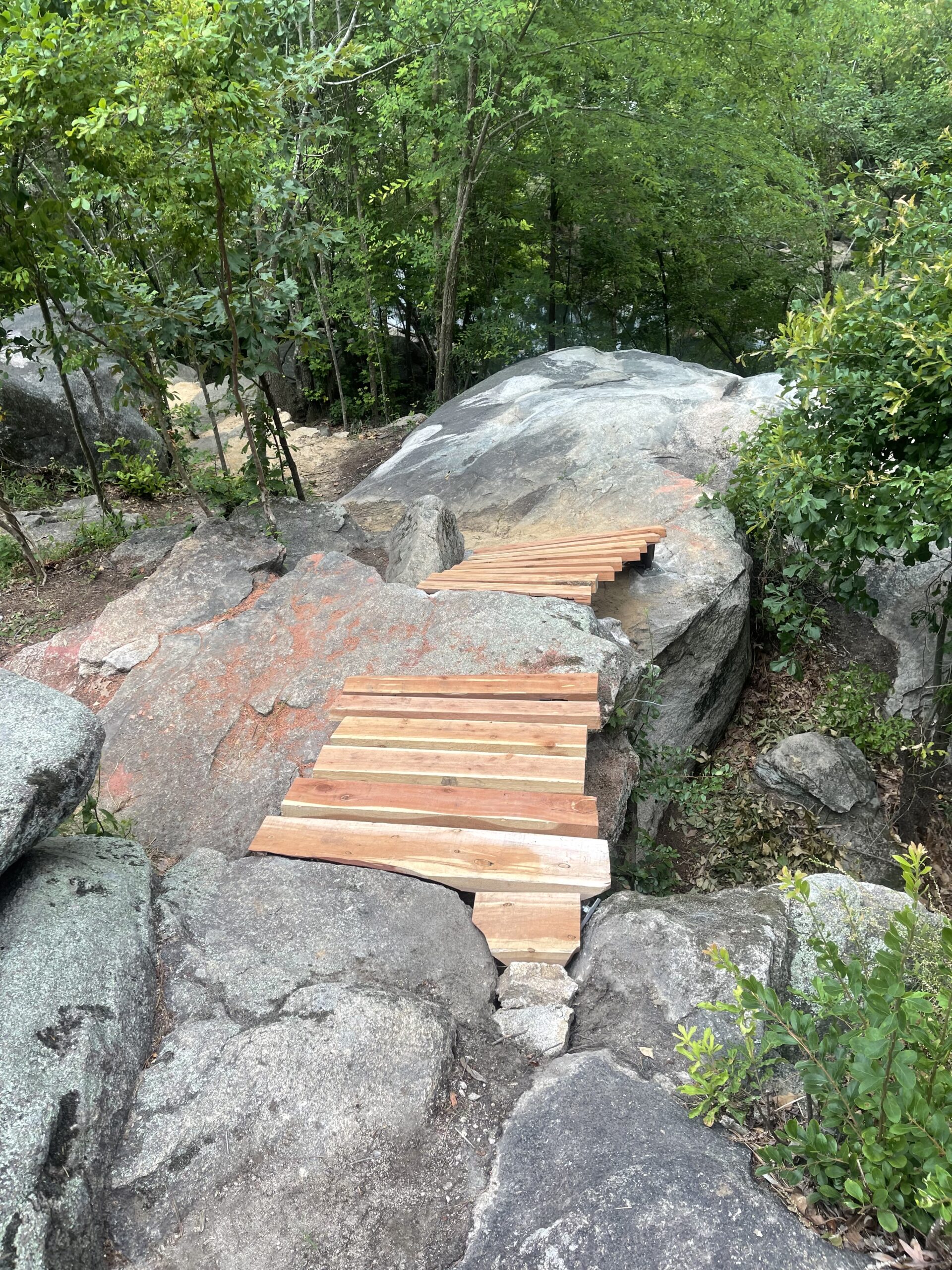 A wooden plank bridge spanning a gap between large rocks in a wooded area, surrounded by lush green trees and vegetation. Battle Park mountain bike trail.
