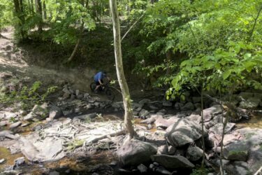 A mountain biker navigating a rocky path next to a stream in a lush green forest. Sunlight filters through the trees, illuminating the foliage surrounding the trail. Battle Park mountain bike trail.