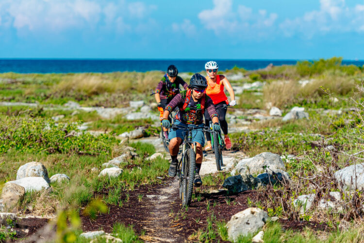 Three mountain bikers riding along a rocky trail near the coast, with lush green grass and shrubs surrounding them. The ocean is visible in the background under a clear blue sky. The riders are wearing helmets and cycling gear, showcasing an active outdoor adventure.