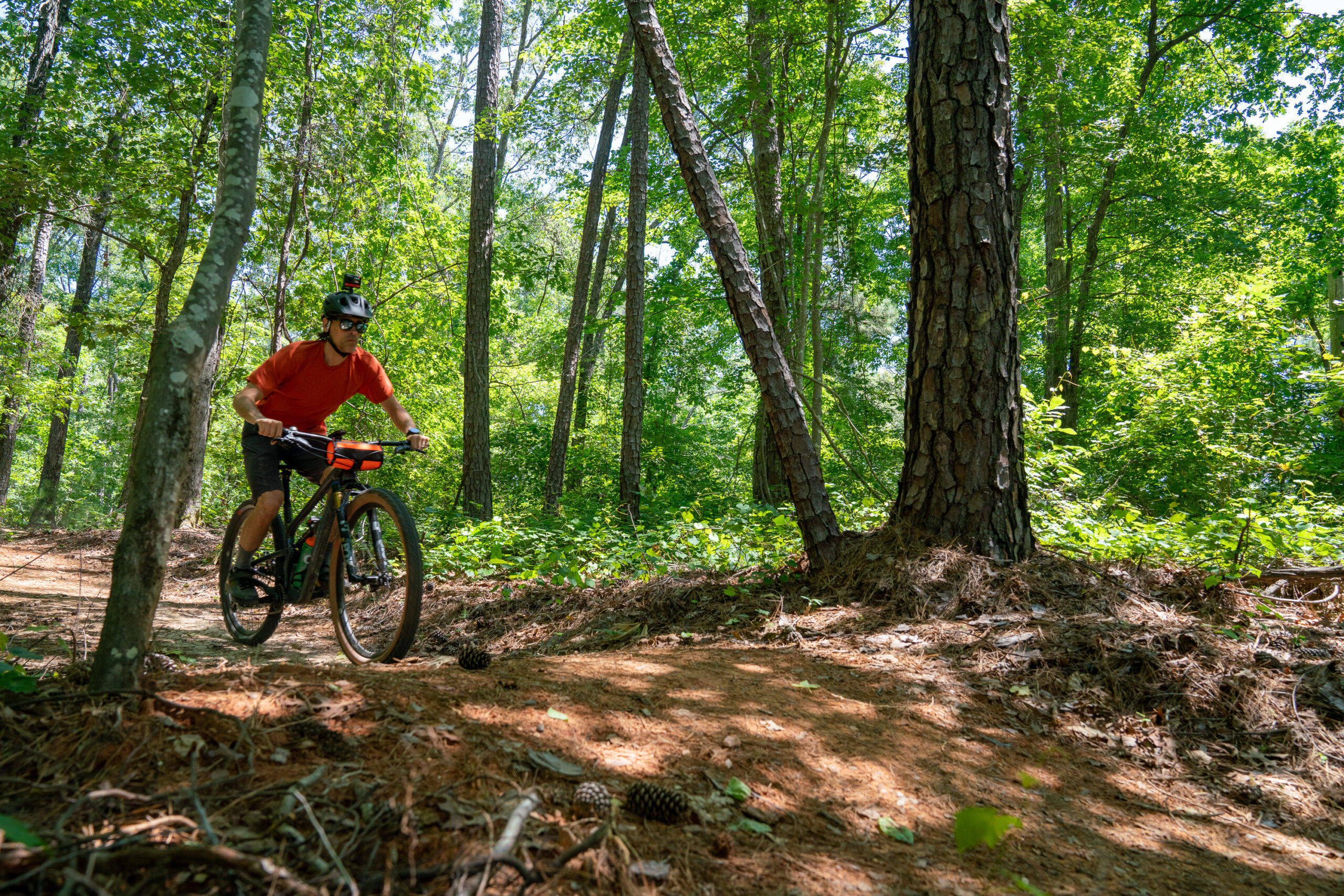 A person riding a mountain bike along a dirt trail in a lush green forest, surrounded by tall trees and vibrant foliage. The rider is wearing a helmet and an orange shirt, focused on navigating the trail while sunlight filters through the leaves. Campbellton Creek Nature Preserve - Sourwood Trail mountain bike trail.