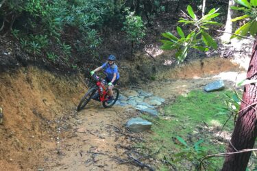 A person riding a mountain bike along a narrow dirt trail surrounded by lush greenery and rocky outcrops in a forested area. The cyclist is wearing a helmet and appears focused as they navigate the uneven terrain. Sunlight filters through the trees, illuminating parts of the path. Old Fort Gateway Trail System mountain bike trail.
