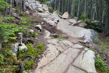 Rocky hiking trail winding through a forest, lined with trees and large boulders, under a cloudy sky. The path is uneven, with exposed rocks and patches of green moss and foliage. Wolverine mountain bike trail.