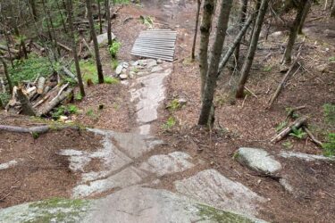 A narrow, rocky biking trail descending through a dense forest. A wooden ramp is visible at the bottom of the slope, along with a "DANGER" sign. A person with a bicycle stands to the side, surrounded by trees and scattered logs on the ground. The scene is filled with lush greenery. Wolverine mountain bike trail.