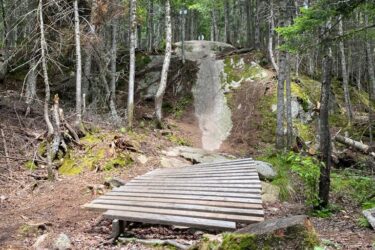 A wooded trail with a wooden ramp leading up to a rocky incline, surrounded by trees and natural forest floor. The scene captures a serene and adventurous hiking environment. Wolverine mountain bike trail.