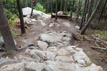 A rocky hiking trail winding downhill through a dense forest of trees, with a warning sign visible. The path is uneven with large stones and dirt, surrounded by greenery and the natural landscape. Wolverine mountain bike trail.