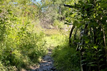 A narrow, muddy trail lined with lush green vegetation leads to a tranquil waterway. A bicycle is parked to the right, partially obscured by leaves, under a clear blue sky and tall trees in the background. Inverse of kains mountain bike trail.