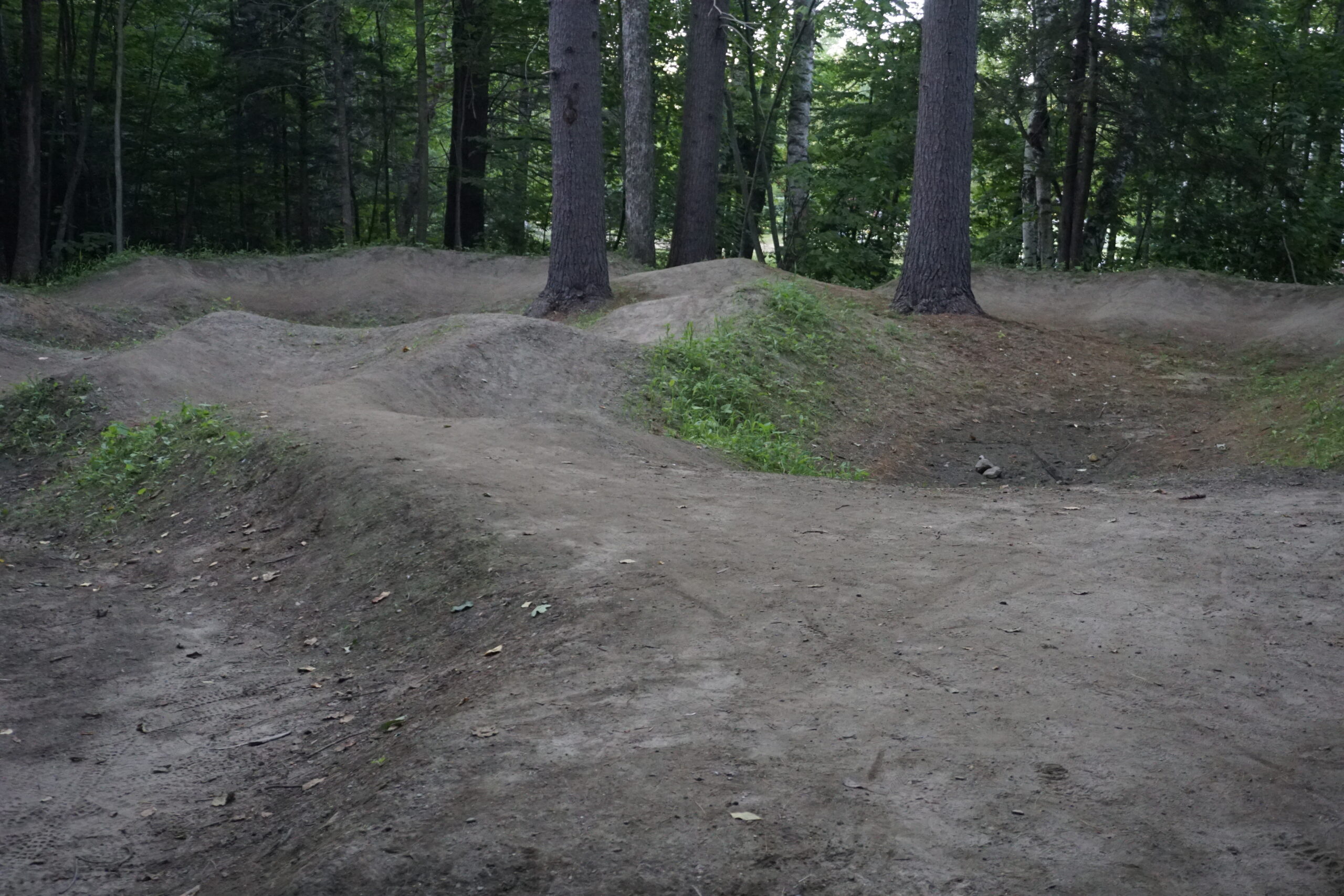 An outdoor dirt bike path featuring rolling hills and bumps surrounded by tall trees and greenery, creating a natural setting for biking or hiking activities. Saranac Lake Pump Track mountain bike trail.