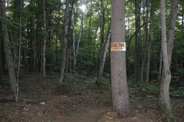 A wooded area with tall trees and dense foliage, featuring a wooden sign on a tree that reads "RAIL TRAIL" with an arrow indicating the direction of the trail. Saranac Lake Pump Track mountain bike trail.