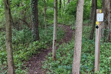 A narrow dirt path winding through a dense green forest, surrounded by tall trees and lush undergrowth. A wooden signpost on the right displays trail markers and directions. Hewen's Creek mountain bike trail.