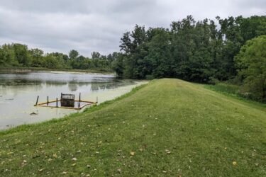 A grassy bank leading down to a calm pond covered with green algae, featuring a fenced area in the water. Overcast skies and tree line visible in the background. Fallen leaves scatter the grassy area. Hewen's Creek mountain bike trail.