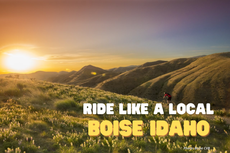 A scenic landscape of rolling hills and wildflowers illuminated by a sunset in Boise, Idaho. A mountain biker rides along a trail, surrounded by vibrant nature. Text overlay reads "Ride Like a Local Boise Idaho."
