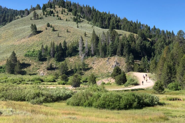 A scenic view of a dirt path winding through a grassy valley, surrounded by rolling hills and dense pine trees under a clear blue sky. Several people are walking along the path, enjoying the natural landscape.