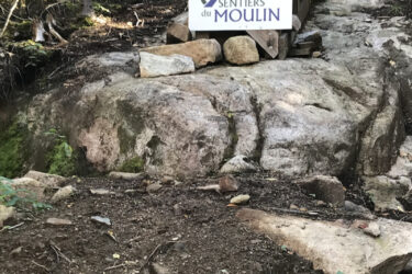 A wooden sign labeled "Sentiers du Moulin" placed on a rocky outcrop in a forested area, surrounded by trees and natural vegetation. The ground is uneven and features stones and dirt paths, indicating a hiking or biking trail. Leon mountain bike trail.