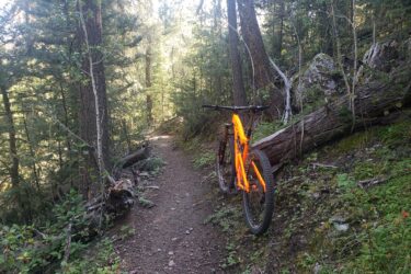 A vibrant orange mountain bike is leaning against a fallen log on a narrow dirt trail surrounded by dense green trees and foliage, with sunlight filtering through the forest. East Fork mountain bike trail.