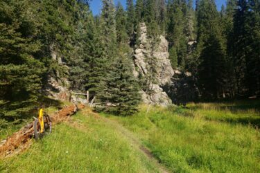 A vibrant outdoor scene showcasing a winding dirt path through a lush green meadow, bordered by tall pine trees and rocky formations. An orange mountain bike rests on a fallen log in the foreground, inviting exploration in this serene nature setting. East Fork mountain bike trail.