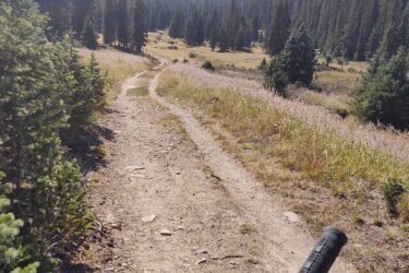 A mountain trail winding through a grassy landscape, flanked by tall evergreen trees, with a mountain peak visible in the background. The foreground features the handlebars of a bike, suggesting a biking perspective on the trail. The sky is clear, indicating a sunny day. American Lakes Trail mountain bike trail.