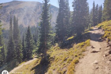 A scenic mountain trail winding through tall evergreen trees, with a rocky path and grassy areas on either side. Sunlight filters through the trees, illuminating the landscape, and a mountain peak is visible in the background under a clear blue sky. American Lakes Trail mountain bike trail.