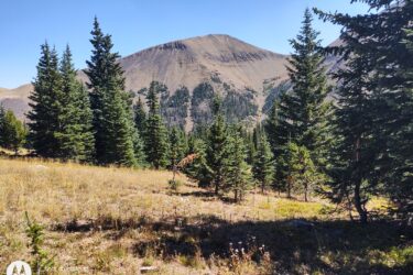 A scenic landscape featuring a mix of evergreen trees in the foreground, with a mountainous terrain in the background under a clear blue sky. The mountains are characterized by rolling slopes and varying shades of brown and green, suggesting a natural wilderness area. American Lakes Trail mountain bike trail.