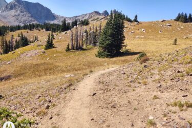 A dirt path winds through a mountainous landscape, flanked by patches of grass and sparse trees. In the background, rugged mountain peaks rise against a clear blue sky, creating a serene and natural setting. The terrain appears dry and rocky, typical of a high-altitude environment. American Lakes Trail mountain bike trail.