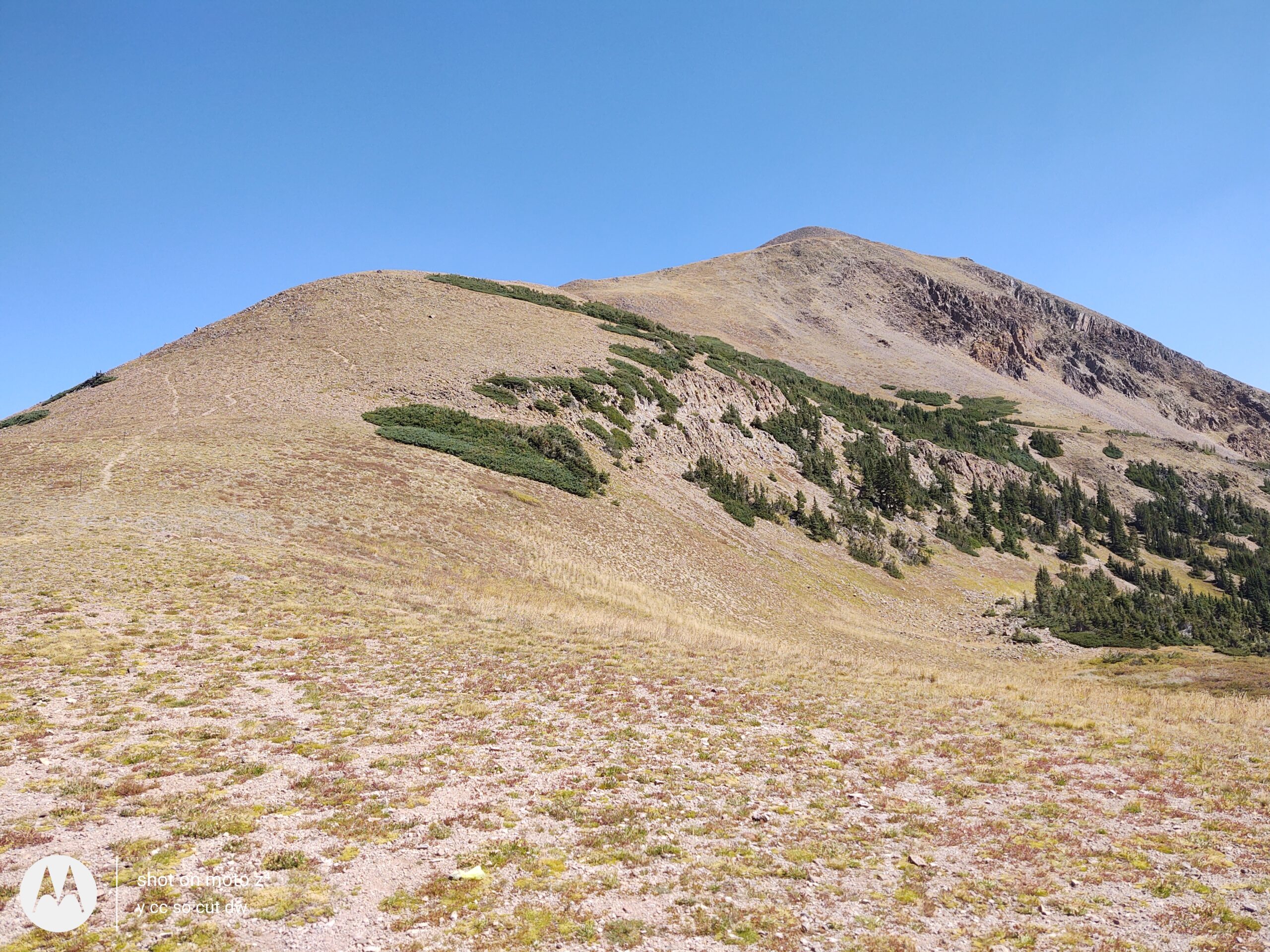 A mountainous landscape featuring a gently sloping hill covered in grasses and shrubs, with a clear blue sky above. The foreground displays sparse vegetation, while the midground reveals a more densely vegetated area along the hill
