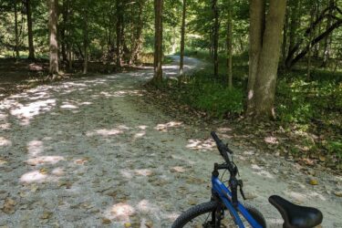 A blue bicycle rests on a gravel path surrounded by tall trees, with sunlight filtering through the leaves. The path forks ahead, leading into a lush forest. Brown and yellow leaves cover the ground, indicating the change of seasons. Morton-Taylor Trail mountain bike trail.