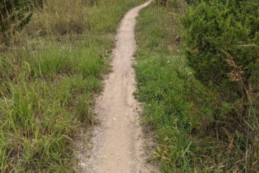 A winding dirt path surrounded by tall grasses and shrubs, leading through a natural landscape under a cloudy sky. Olson Park mountain bike trail.