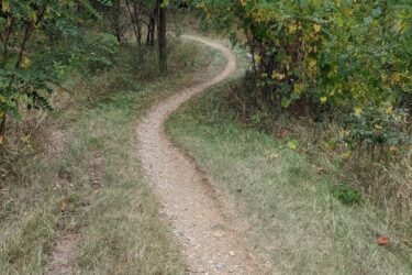 A winding dirt path through a wooded area, bordered by green foliage and grassy edges, under a cloudy sky. Olson Park mountain bike trail.