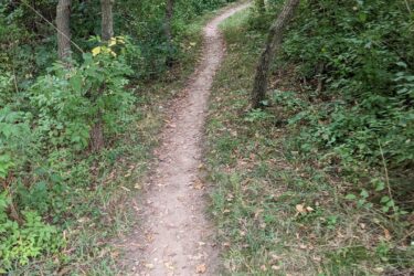 A winding dirt path through a lush green forest, surrounded by trees and underbrush, with scattered leaves along the trail edges. Olson Park mountain bike trail.