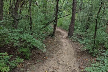 A dirt path winding through a dense forest, surrounded by lush green foliage and trees. The trail is slightly uneven and covered with fallen leaves, inviting exploration into the natural surroundings. Olson Park mountain bike trail.