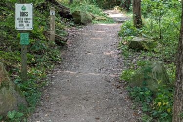 A narrow, winding dirt trail surrounded by lush greenery, with a sign indicating that dogs must be leashed in the park and on the trail. Rock formations and scattered leaves line the path, which gently curves ahead. A wooden post marking the distance is visible in the background. Potawatomi trail mountain bike trail.