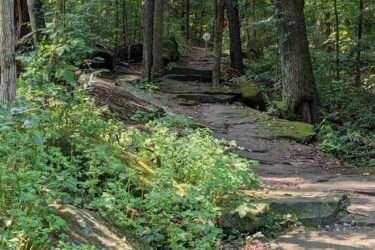 A serene forest trail winding through lush greenery, flanked by tall trees and scattered rocks. Sunlight filters through the leaves, creating dappled patterns on the ground. A white signpost is visible in the distance, indicating direction or information about the trail. Potawatomi trail mountain bike trail.