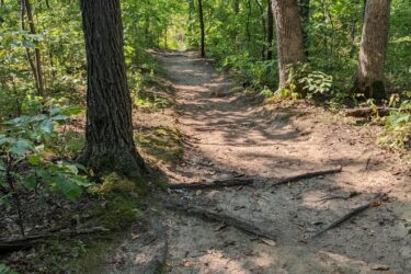 A winding dirt path through a lush forest, lined with tall trees and dappled sunlight filtering through the leaves. The trail is slightly worn, with visible roots and patches of dry leaves along the edges. Potawatomi trail mountain bike trail.