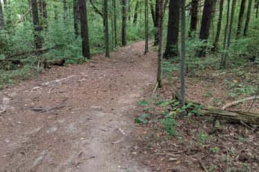 A winding dirt path through a dense forest, surrounded by tall trees and lush green foliage, creating a serene outdoor atmosphere. Potawatomi trail mountain bike trail.