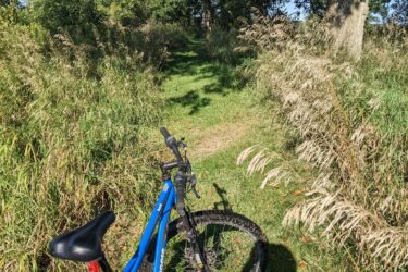 A blue mountain bike resting on a grassy path surrounded by tall grass and trees under a clear sky. The sunlight casts a shadow of the bike onto the ground, highlighting the peaceful outdoor setting. Sharon Mills MTB Trails mountain bike trail.