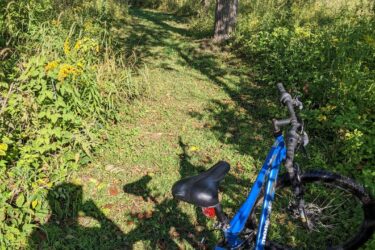 A blue mountain bike leaning on a grassy trail surrounded by wildflowers and trees, with sunlight filtering through the foliage. Olson Park mountain bike trail.