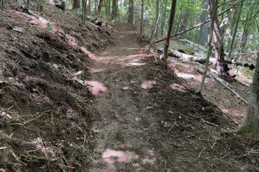A winding dirt path through a forested area, bordered by trees and underbrush, with sunlight filtering through the leaves, casting dappled shadows on the trail. Start Me Up mountain bike trail.