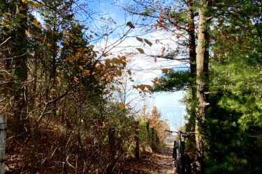 A narrow, winding trail flanked by trees and bushes, with colorful autumn leaves scattered on the ground. A bicycle is parked beside the path, leading toward a view of the distant landscape under a clear blue sky. Pinery Provincial Park mountain bike trail.