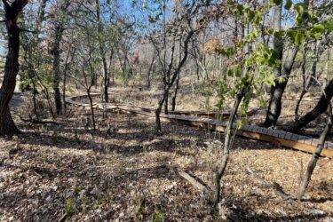 A winding wooden path meanders through a forested area, surrounded by trees with sparse foliage, some still retaining green leaves. The ground is covered with a mix of fallen leaves and dry underbrush, suggesting a serene, natural setting on a sunny day. Xcel Energy Mountain Bike Park mountain bike trail.