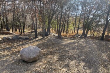 A quiet forested area featuring several trees with autumn leaves, a large rock in the foreground, and a pathway leading deeper into the woods. The sunlight filters through the trees, creating shadows on the ground scattered with fallen leaves. Xcel Energy Mountain Bike Park mountain bike trail.