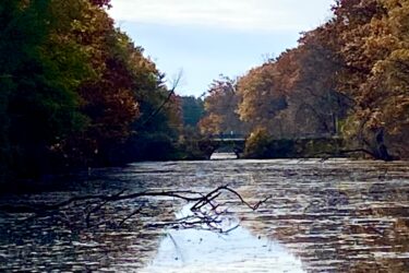 Serene view of a calm river bordered by autumn foliage, with scattered branches on the water's surface and a distant bridge visible in the background under a partly cloudy sky. Pinery Provincial Park mountain bike trail.