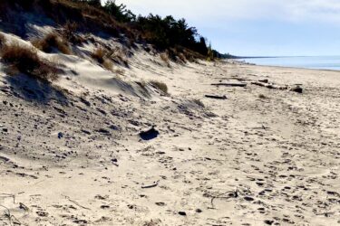 A serene beach scene featuring soft, sandy shores leading to a calm body of water. In the distance, a line of trees provides a natural backdrop against a clear, partly cloudy sky. Gentle slopes of sand flanked by sparse vegetation create a tranquil atmosphere. Footprints can be seen in the sand, suggesting recent visitors to this peaceful location. The Beach mountain bike trail.