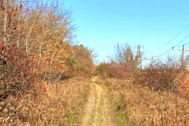 A dirt path meanders through a landscape of autumn foliage, flanked by dry grass and shrubs. In the background, a clear blue sky stretches above, with power lines visible on the right side of the image. Blind Line mountain bike trail.