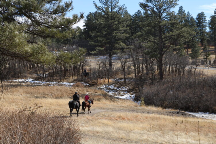 Two riders on horseback traverse a dirt path through a tranquil landscape of tall grass and sparse trees, with patches of snow visible in the background. The scene is set against a backdrop of evergreen trees and a clear blue sky.