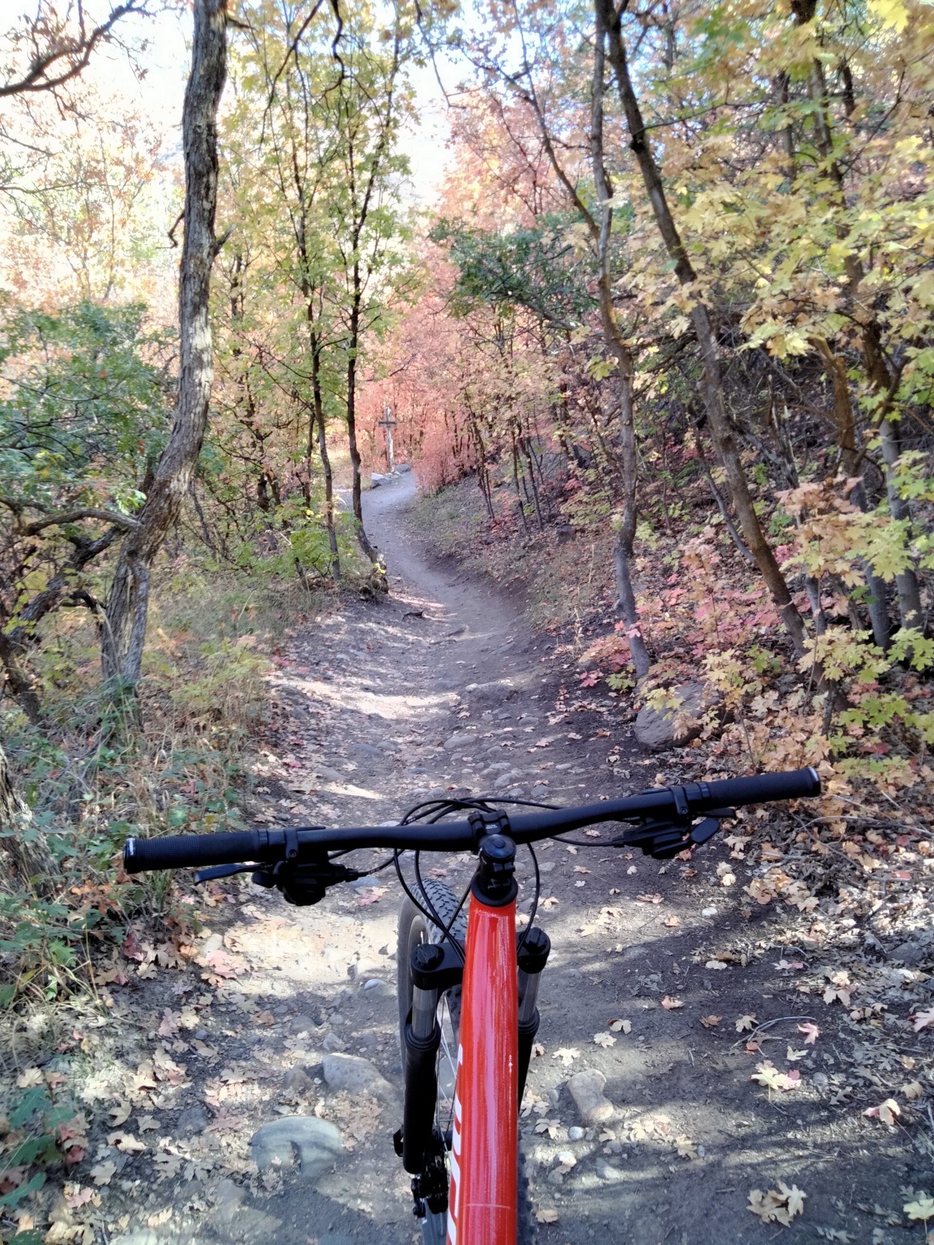 A mountain bike viewed from the handlebars, set on a winding dirt trail surrounded by trees displaying vibrant autumn leaves in shades of yellow and orange. The path leads through a natural landscape, inviting outdoor exploration. Canyon Hollow mountain bike trail.