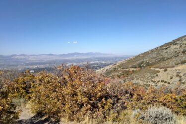 A scenic view from a mountain trail, showcasing a valley below with a clear blue sky and distant mountains. The foreground features autumn foliage with orange and yellow leaves, and a winding dirt path leading down the slope. Canyon Hollow mountain bike trail.