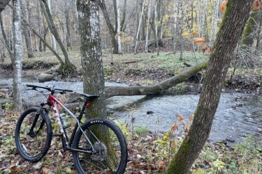 A mountain bike leaning against a tree in a peaceful forest setting, near a gently flowing creek. The surrounding landscape features autumn foliage and a mix of trees with varying colors. Fort Defiance mountain bike trail.