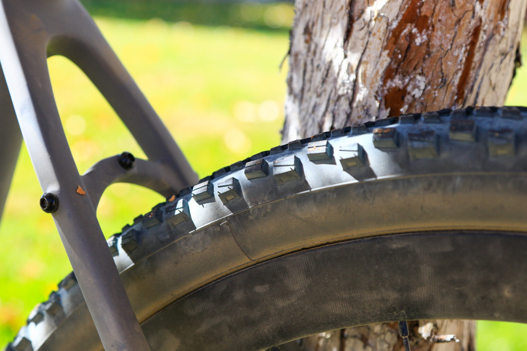 The Specialized Rhombus Pro Tire is a Mountain Bike Tire for Gravel