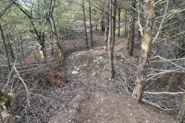 A narrow, winding dirt path through a densely wooded area, surrounded by tall, leafless trees and scattered rocks. The ground is covered in brown leaves and pine needles, indicating a natural forest setting. Sunlight filters through the branches, creating a mix of light and shadow along the trail. Lehigh Portland Trails mountain bike trail.