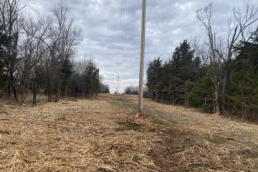 A tree-lined pathway under a cloudy sky, featuring a power line running alongside a cleared area with scattered wood debris on the ground. The landscape appears rural with bare trees on both sides. Lehigh Portland Trails mountain bike trail.